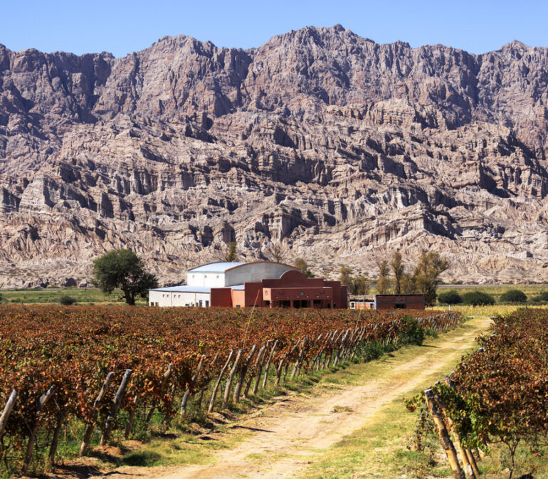 Atacama Argentinie Reizen Cafayate2