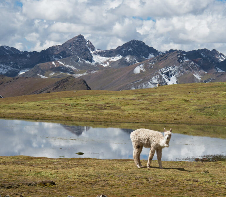 Atacama Reizen Rainbow Mountain7