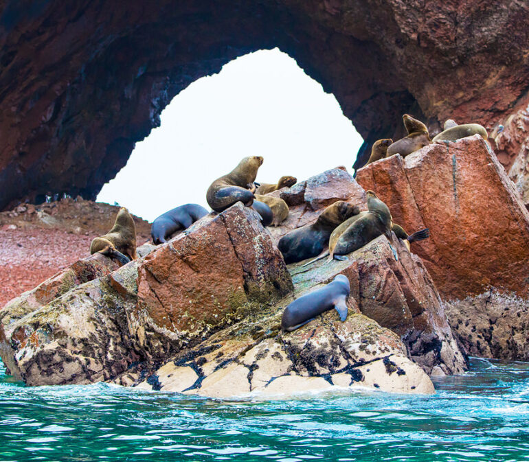 Peru Rondreizen Nazca Ballestas Paracas Atacama 7