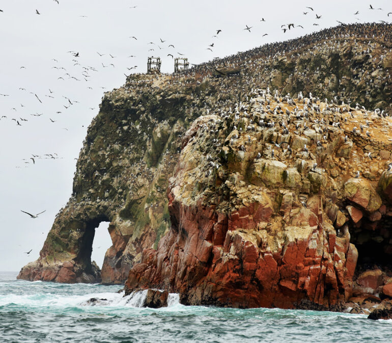 Peru Rondreizen Nazca Ballestas Paracas Atacama 12