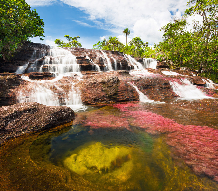 Cano Cristales10 Colombia Reis Atacama Be