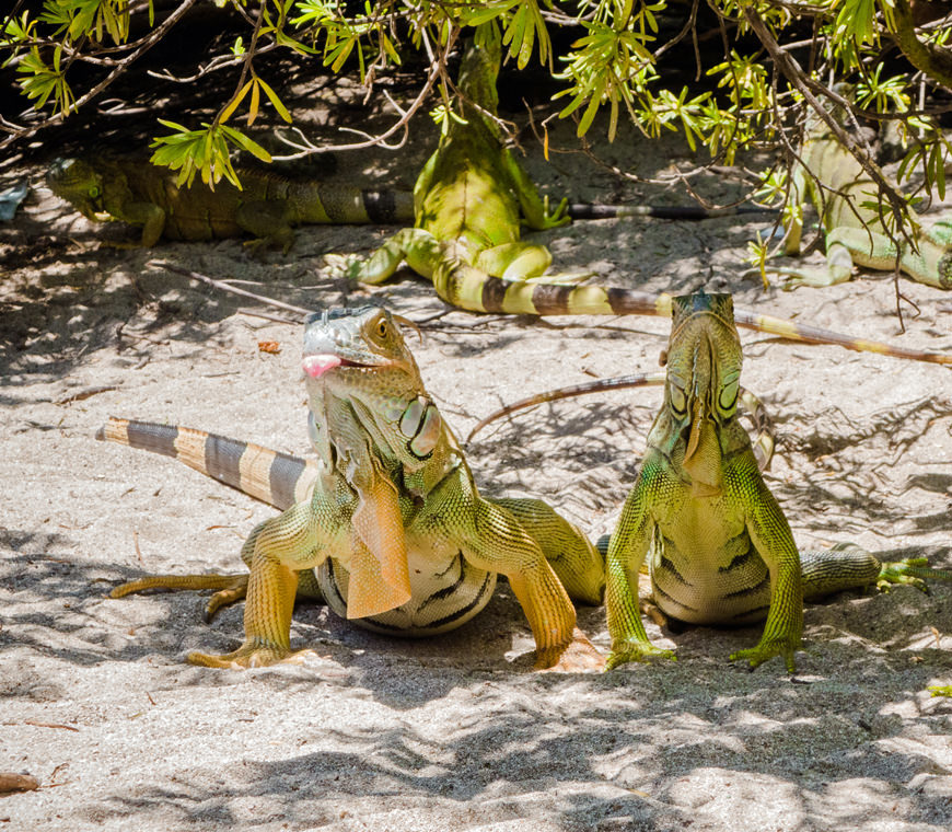Caribisch Colombia4 Reis Atacama Be