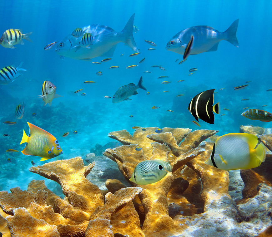 Caribisch Colombia7 Reis Atacama Be