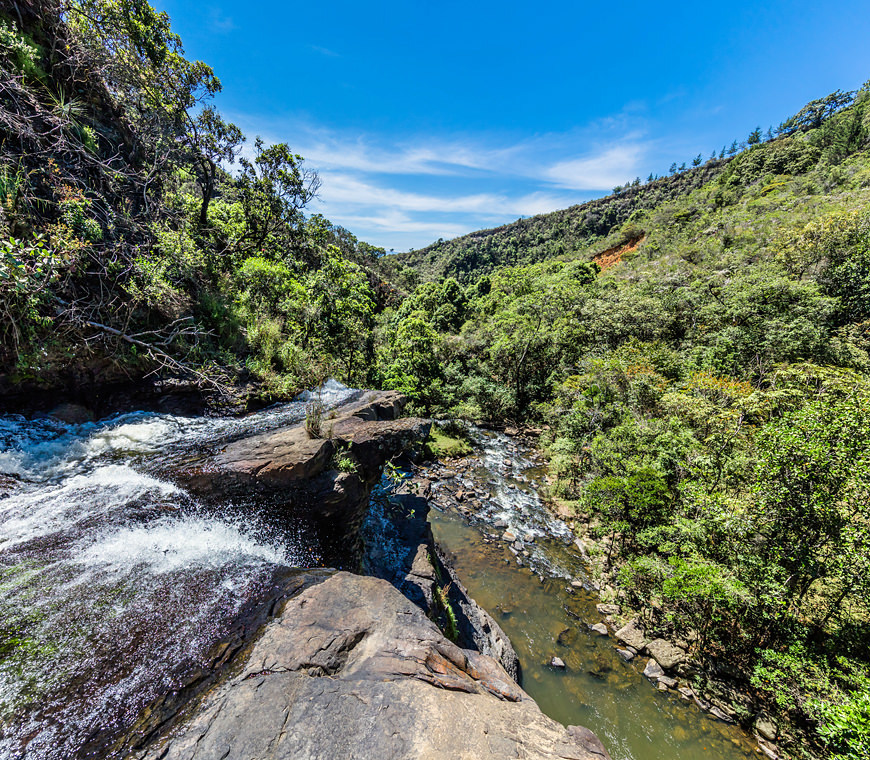 La Periquera Colombia Reis Atacama Be