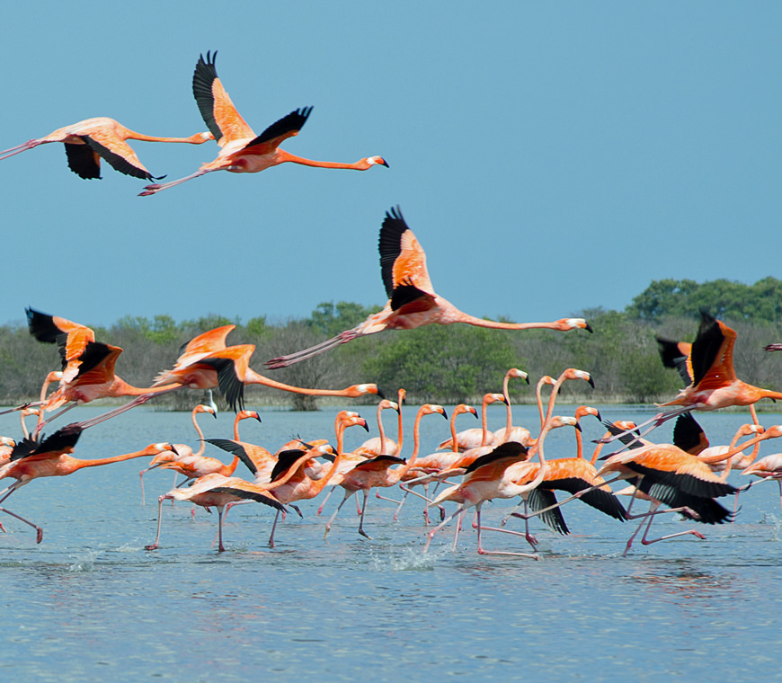 La Guajira2 Colombia Reis Atacama Be