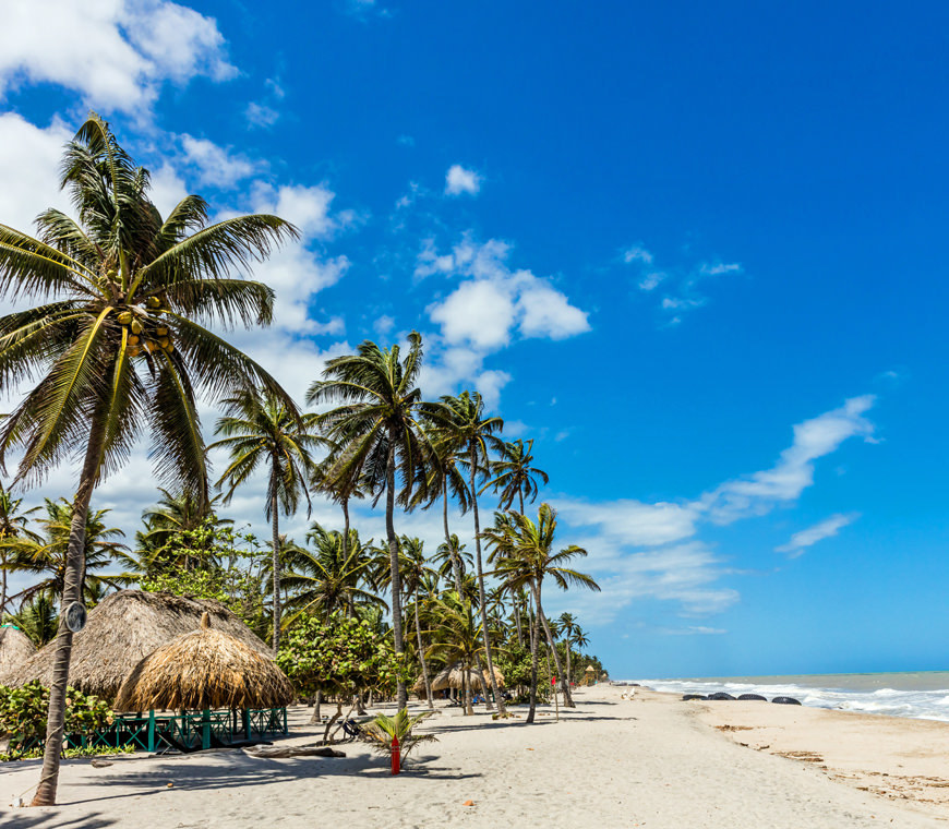 Palomino Colombia Reis Atacama Be