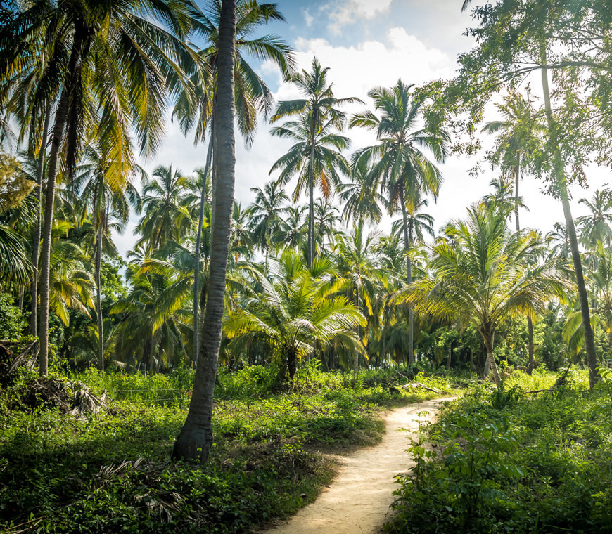 Tayrona11 Colombia Reis Atacama Be