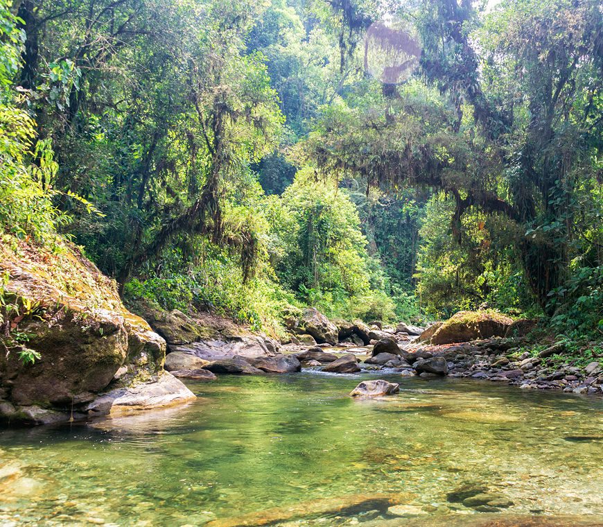 Tayrona12 Colombia Reis Atacama Be