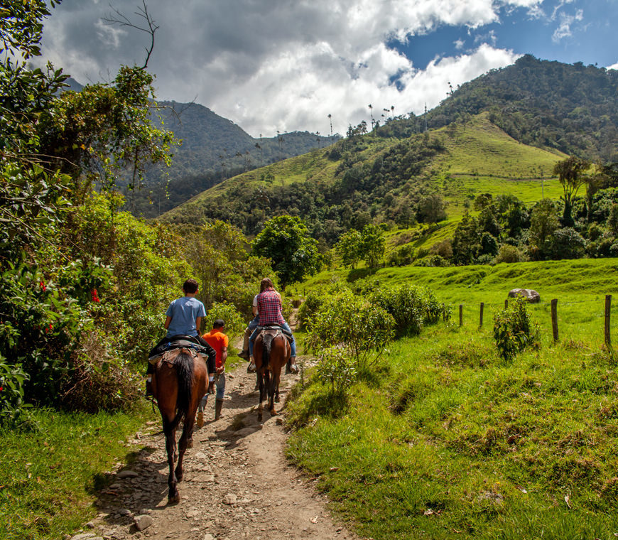 Zona Cafetera1 Colombia Reis Atacama
