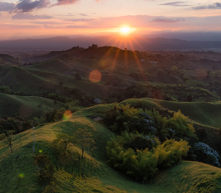 Zona Cafetera14 Colombia Reis Atacama