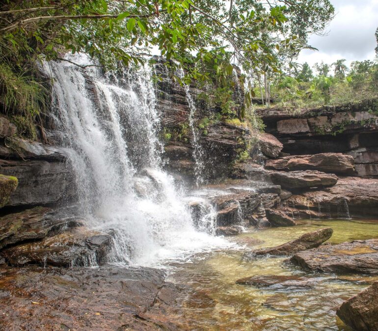 Cano Cristales Colombia 72