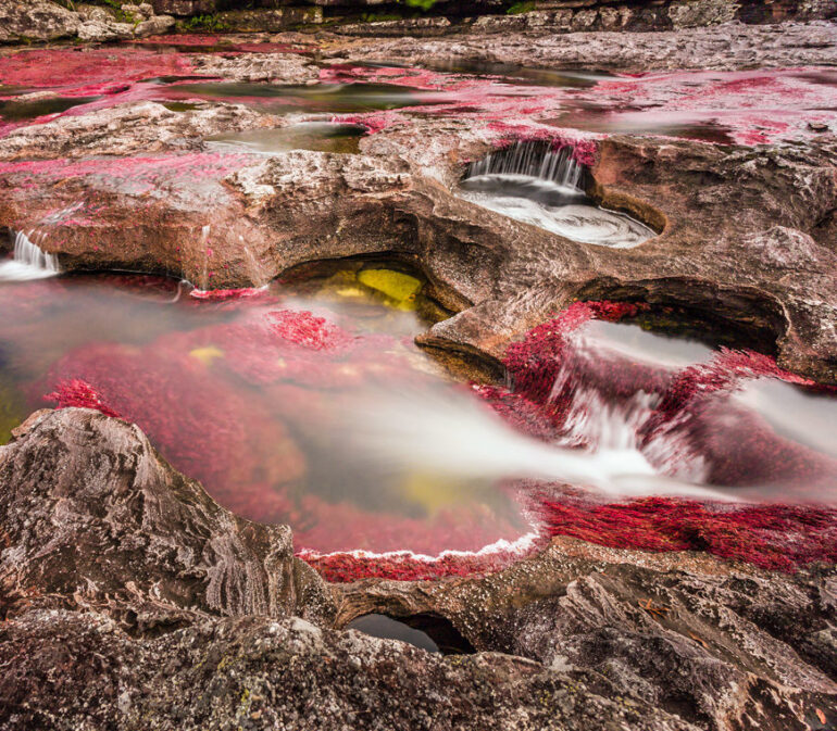 Cano Cristales3 Colombia Reis Atacama Be