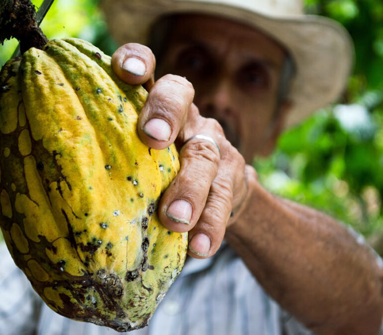 Zona Cafetera19 Colombia Reis Atacama