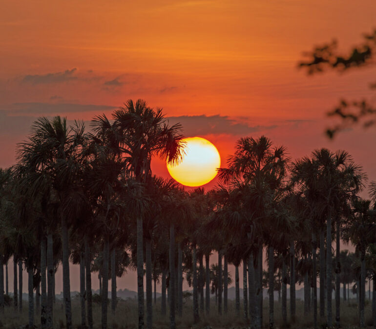 Casanare6 Colombia Reis Atacama Be