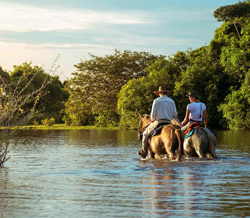 Casanare20 Colombia Reis Atacama Be