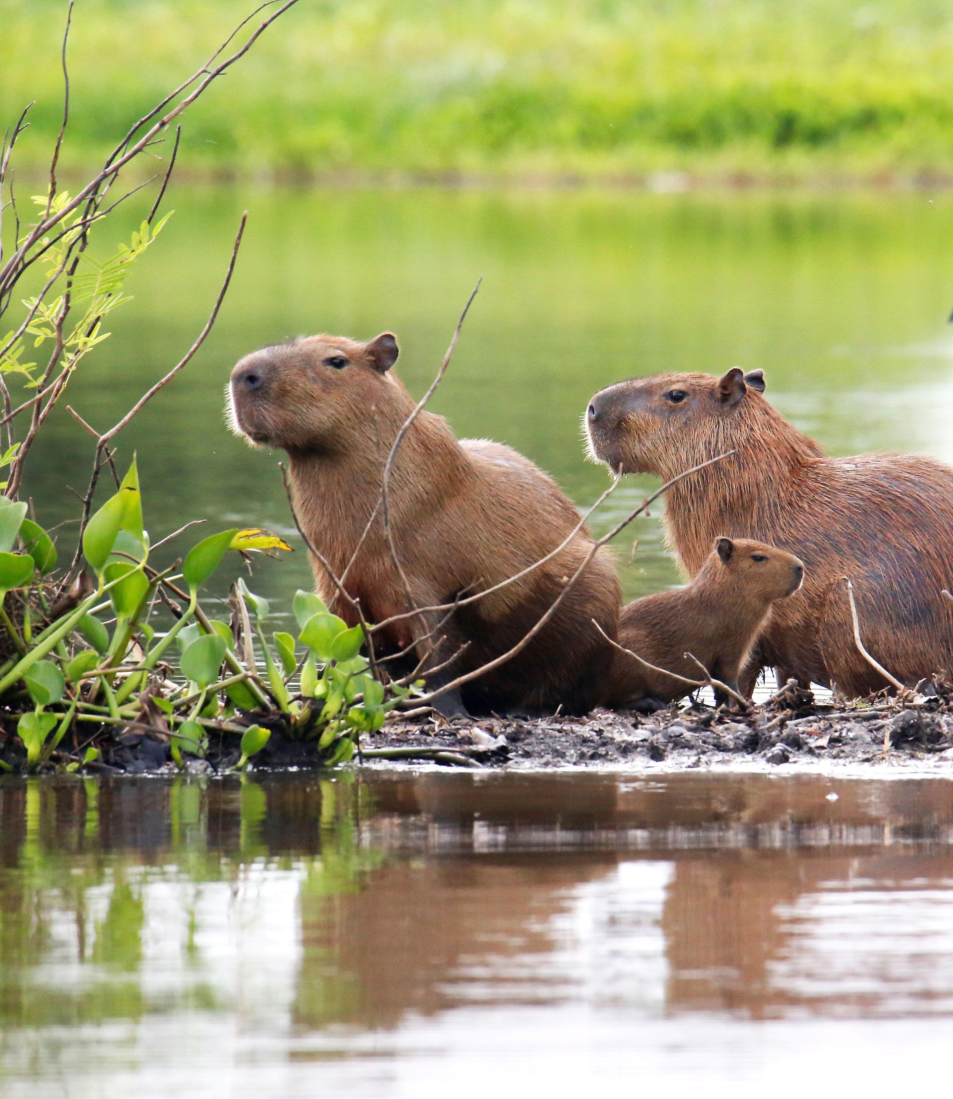 Colombia Reis Bucketlist 11