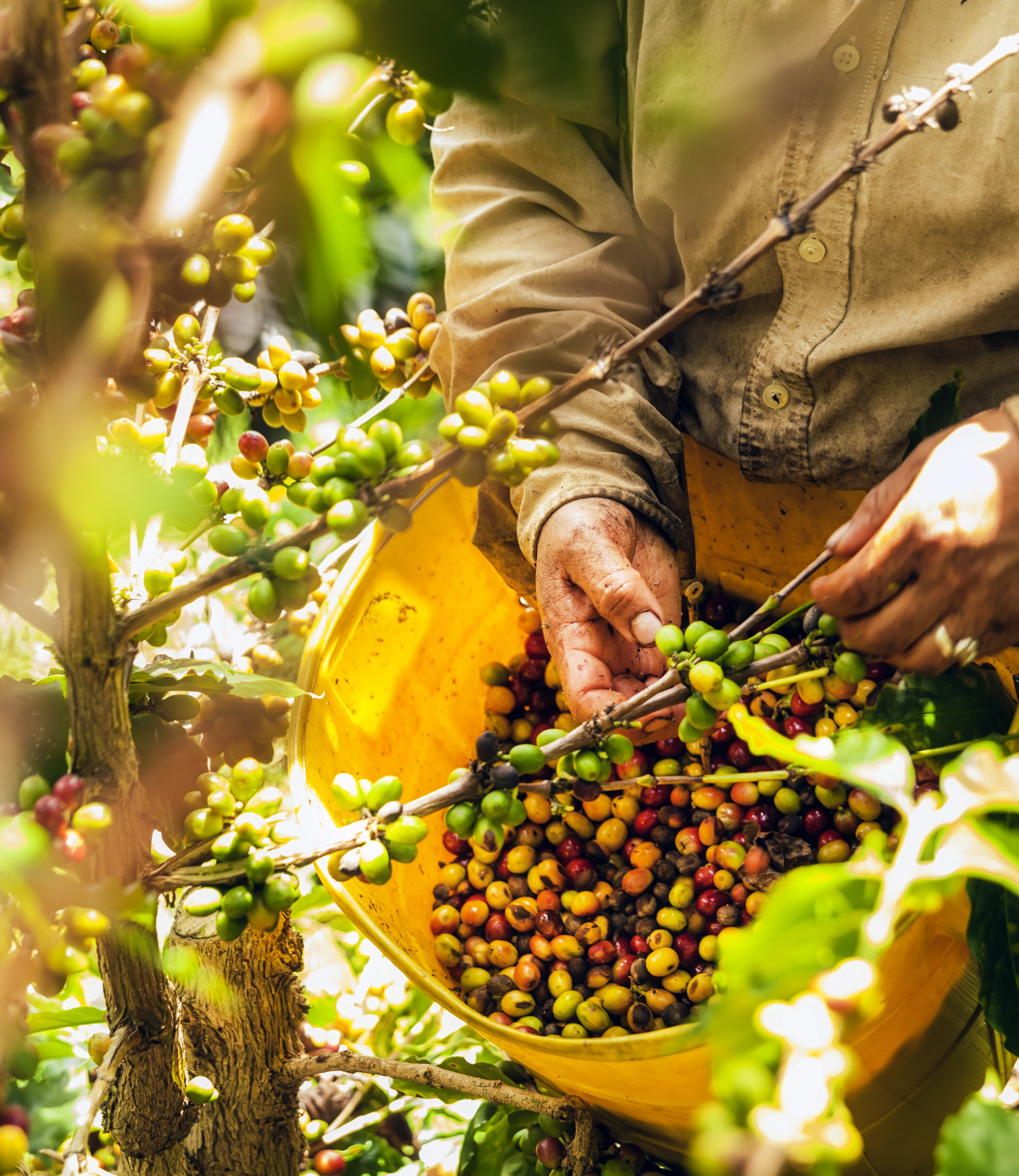 Colombia Reis Bucketlist 3