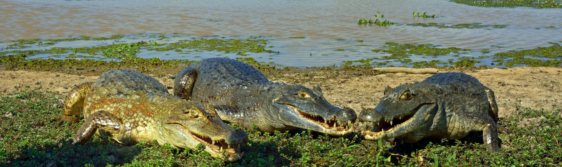 Colombia Reis Panorama13 Atacama Be
