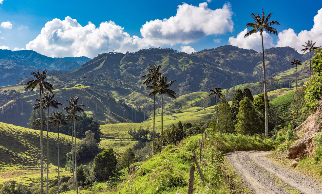 Koffiedriehoek1 Colombia Specialist Reis