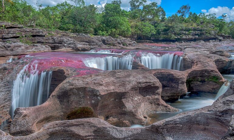 Cano Cristales Colombia 70