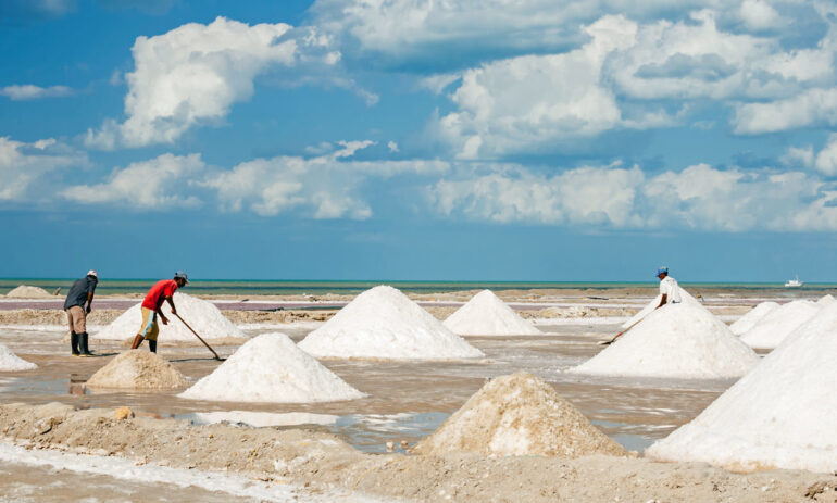 Guajira3 Colombia Specialist Reis