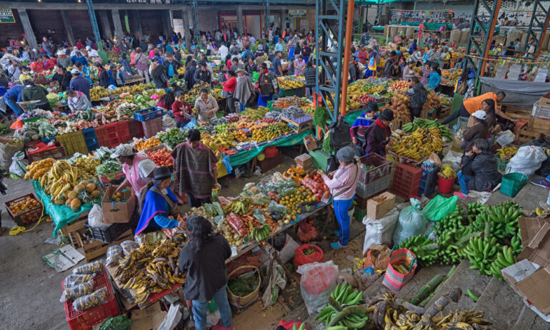 Silvia2 Colombia Specialist Reis