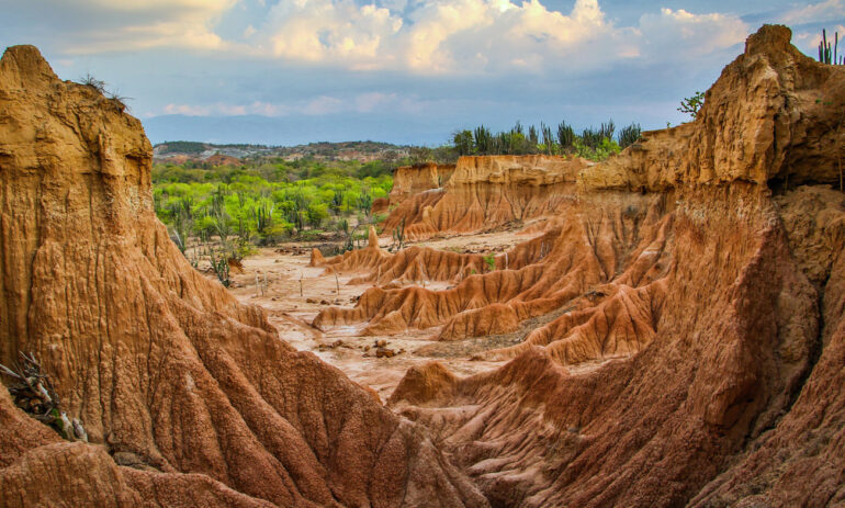 Tatacoa1 Colombia Specialist Reis