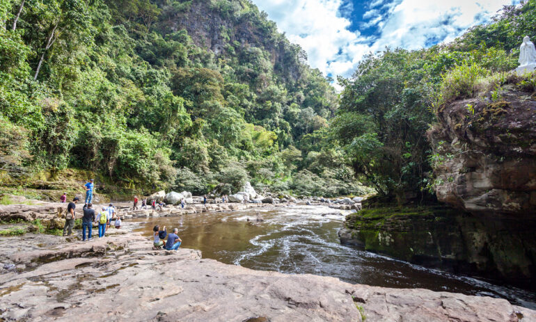 Purace4 Colombia Specialist Reis