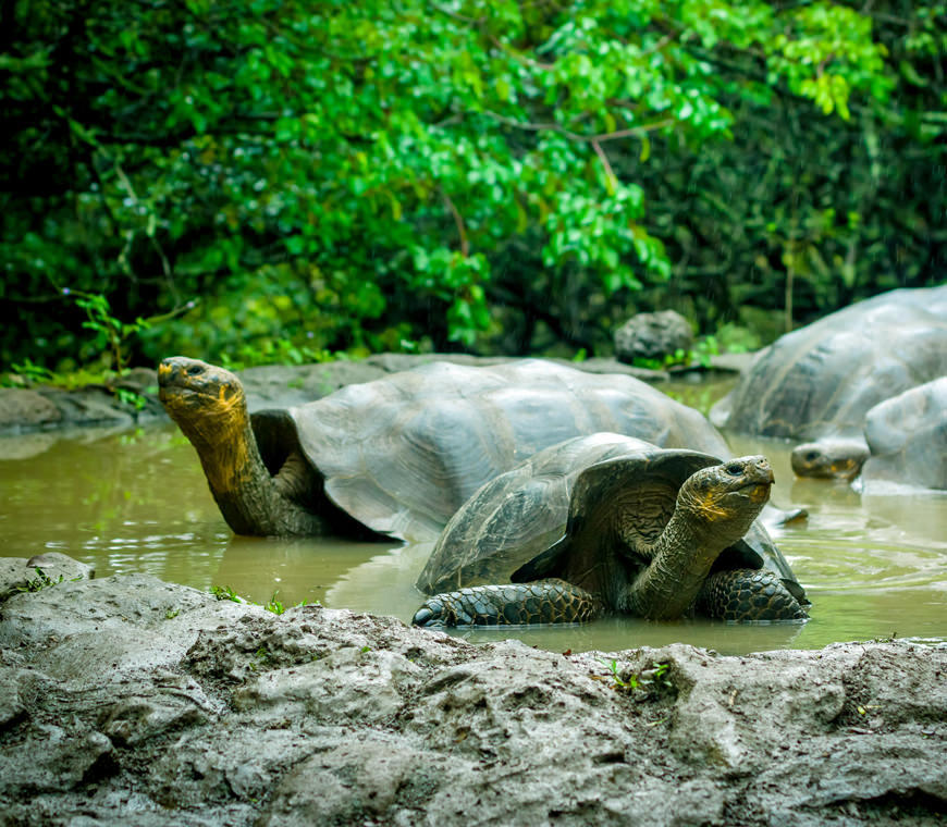 Atacama Specialist Ecuador Galapagos Rondreizen Finch Bay Hotel7