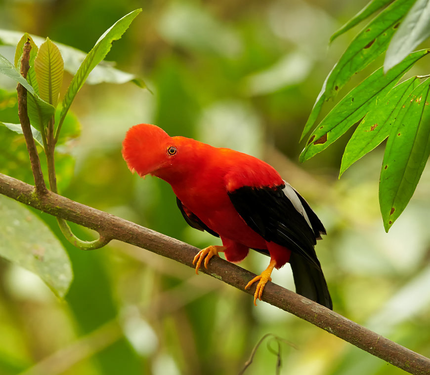 Atacama Reizen Ecuador23