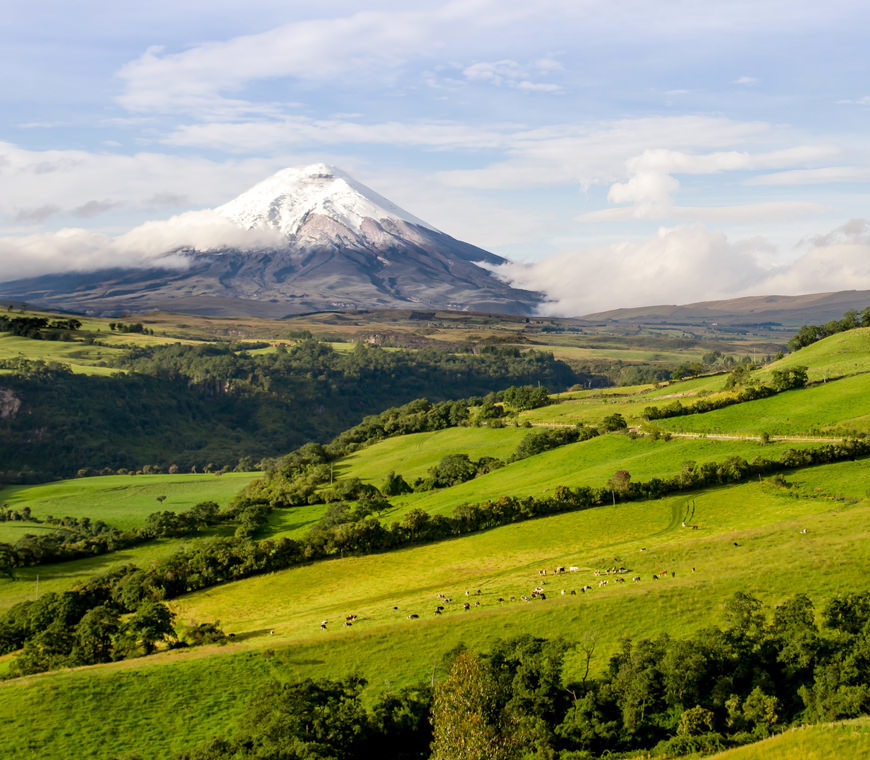 Atacama Reizen Ecuador26