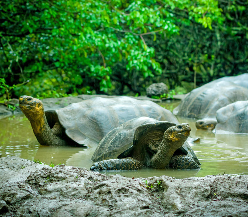 Atacama Reizen Ecuador33