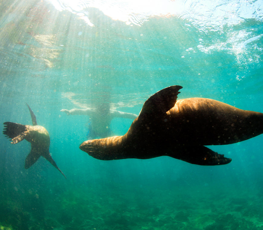 Atacama Reizen Ecuador37