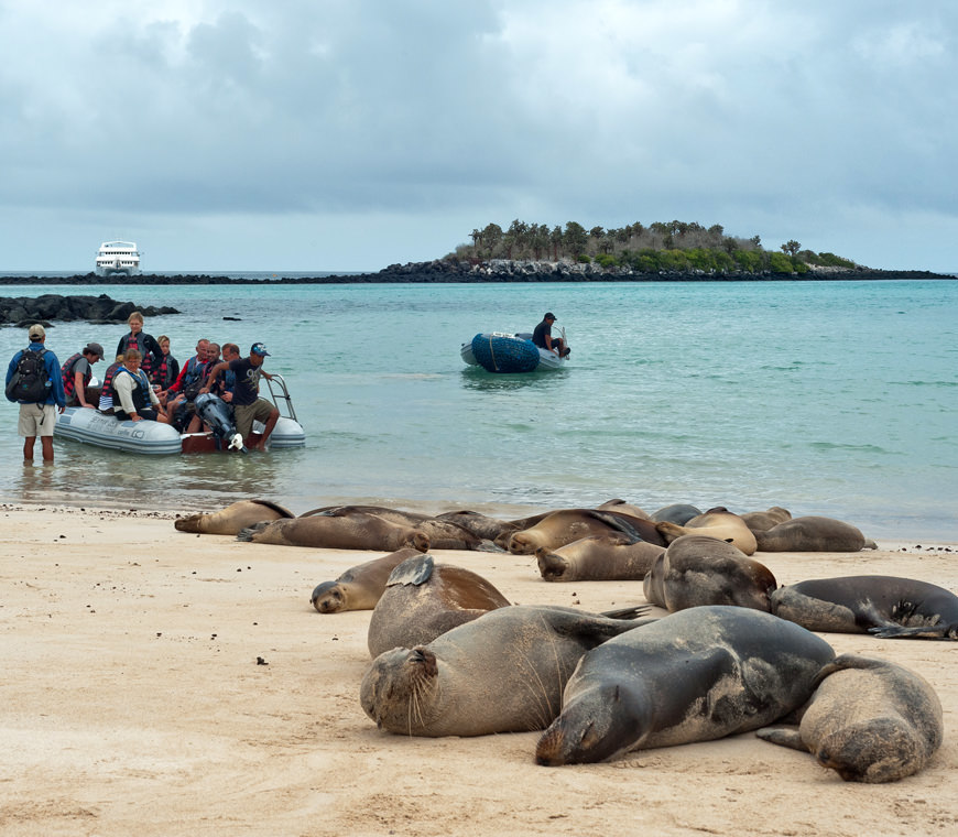 Atacama Reizen Ecuador44