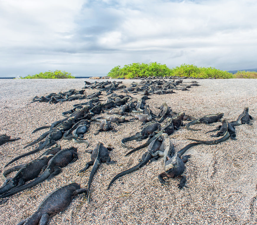 Atacama Reizen Ecuador54