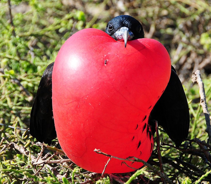 Atacama Reizen Ecuador62