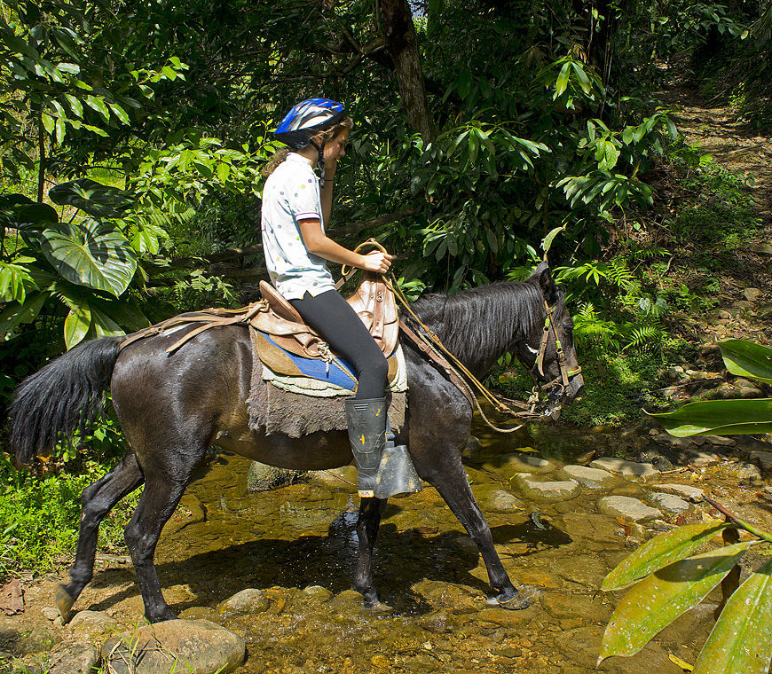 Atacama Reizen Ecuador67