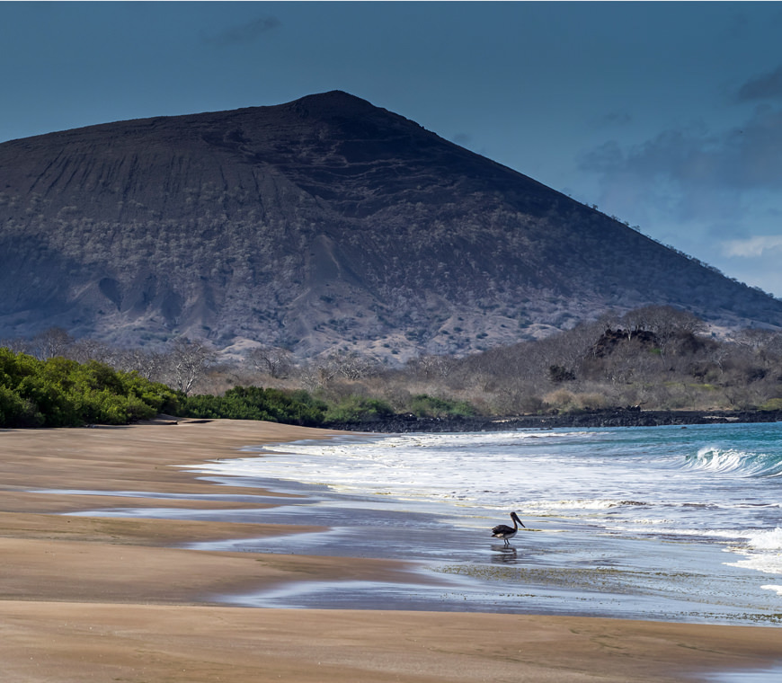 Atacama Reizen Ecuador80