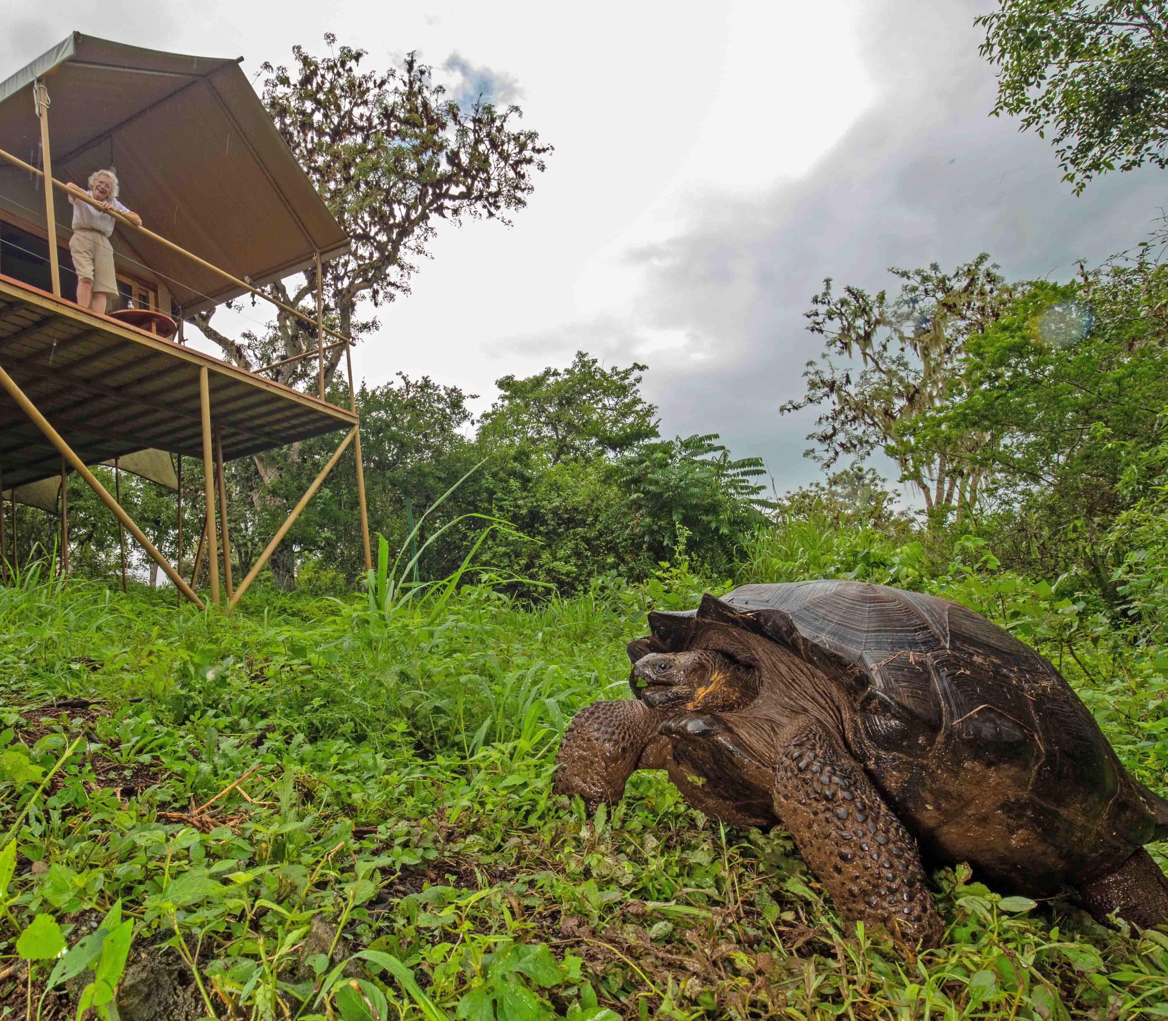 Galapagos Safari Camp Tent1 Atacama Be