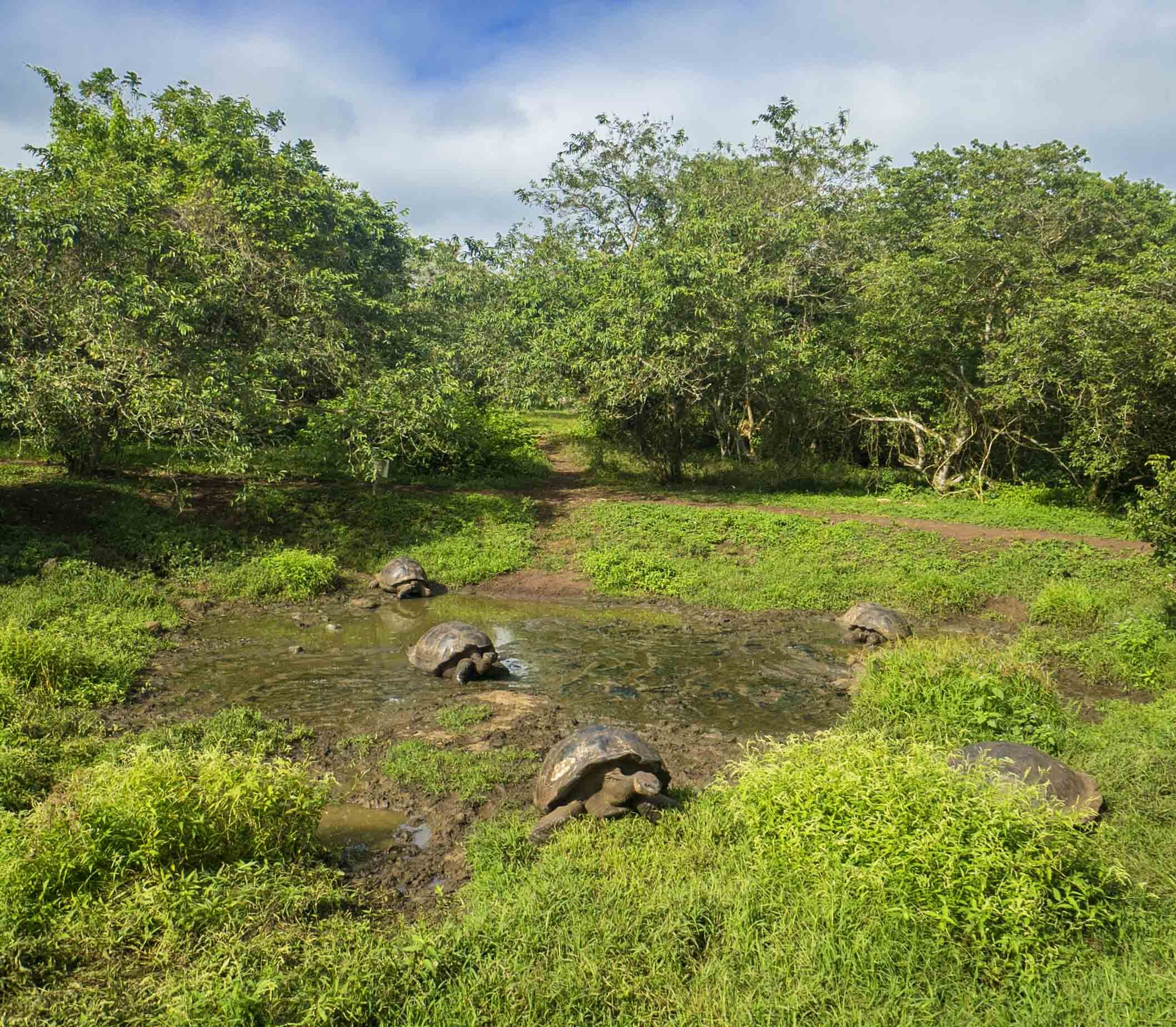Galapagos Reizen 3 Beleving Atacama Be