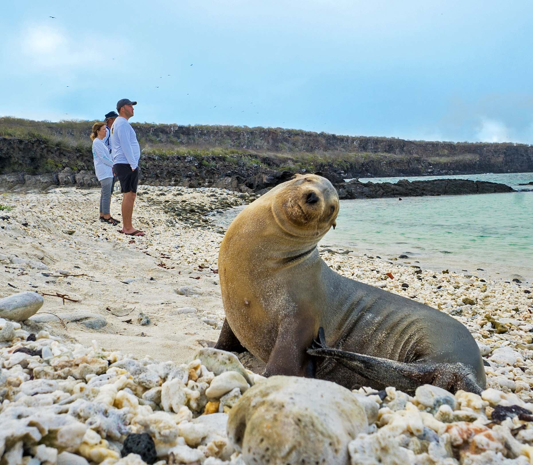 Galapagos Reizen 6 Beleving Atacama Be