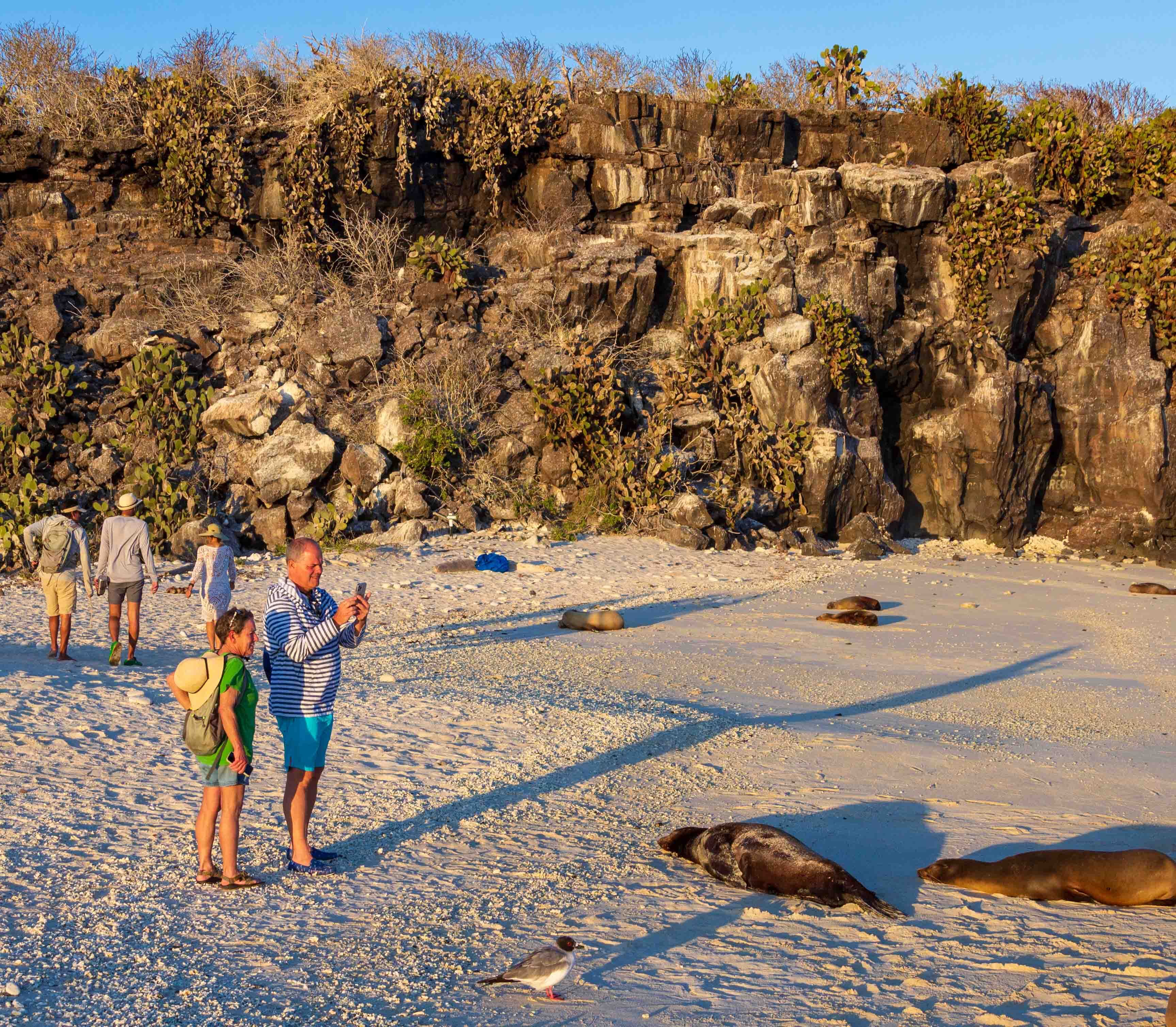 Galapagos Reizen Beleving Atacama Be