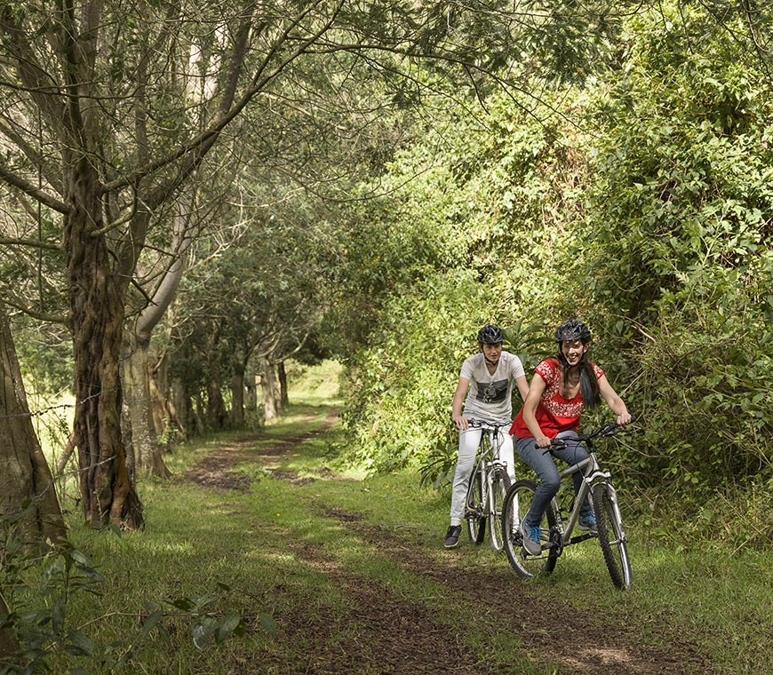 Hacienda Zuleta Ecuador Atacama Be 12