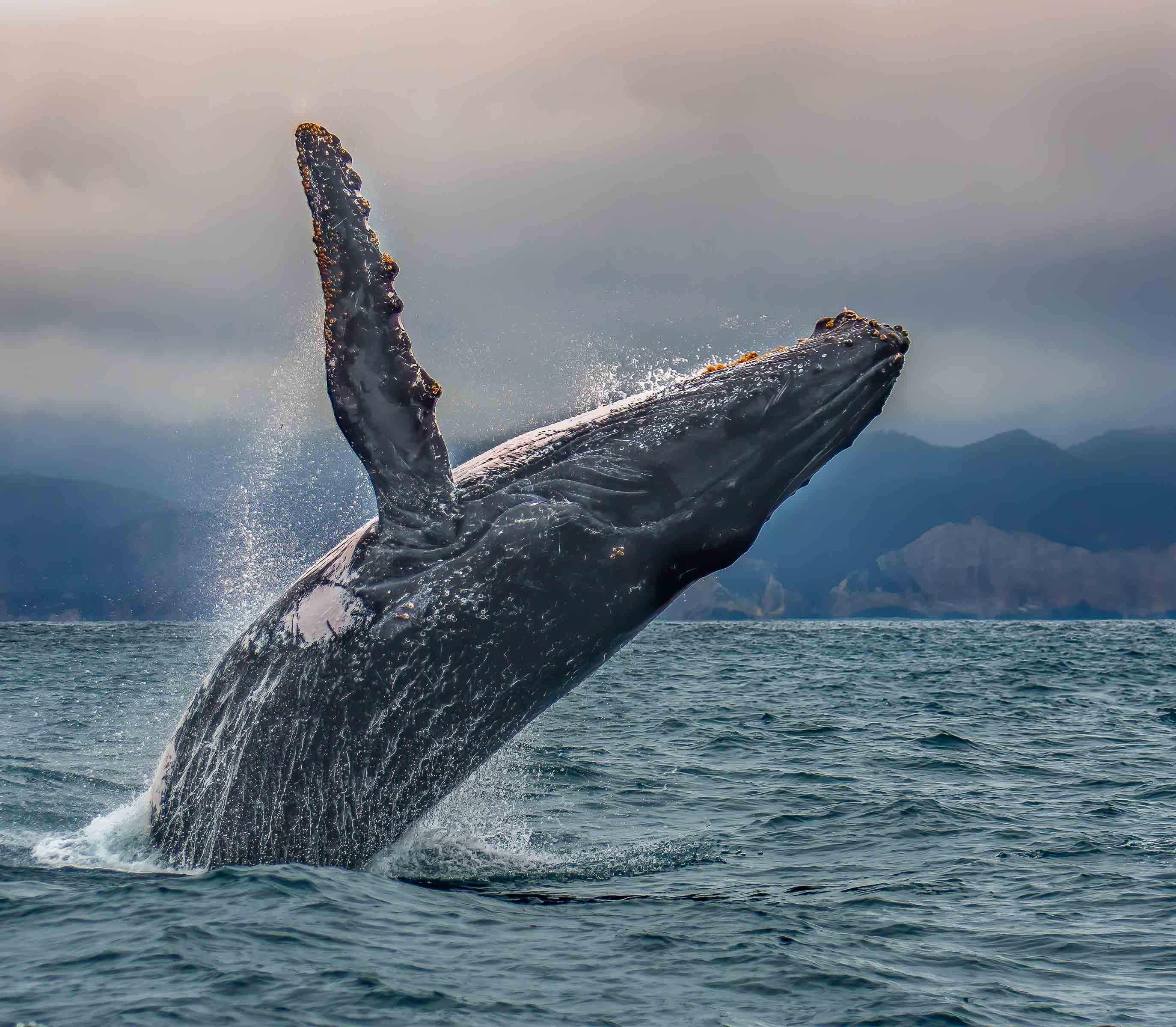 Puerto Lopez Ecuador Rondreis