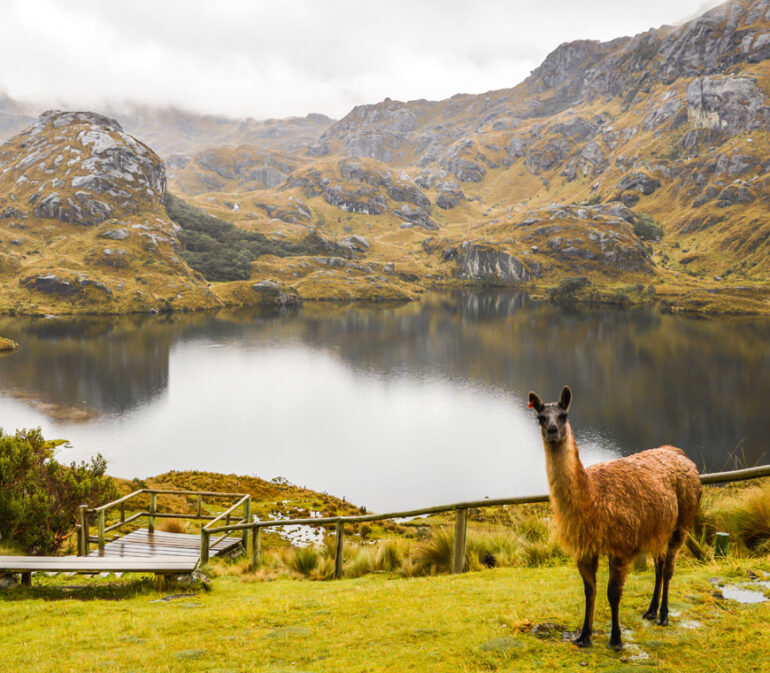 Atacama Reizen Ecuador18
