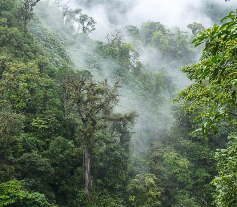 Atacama Reizen Ecuador22