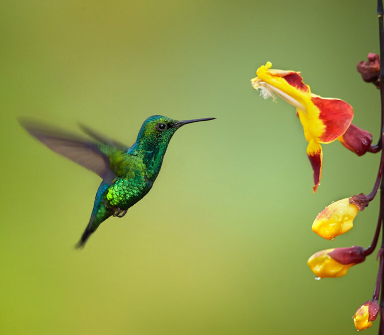 Atacama Reizen Ecuador24