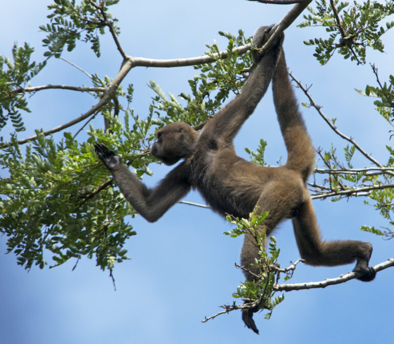 Atacama Reizen Ecuador6 © Carl De Meyer