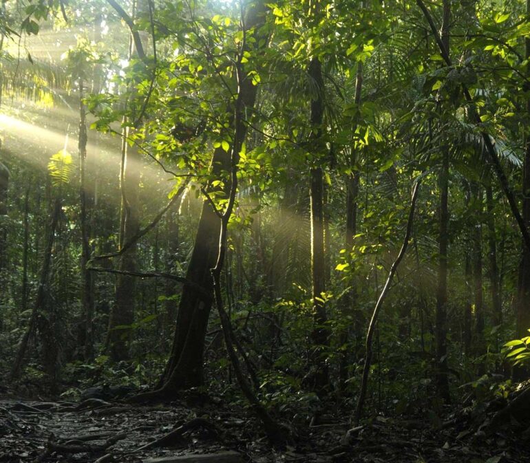 Ecuador Gezinsreis Casadelsuizo10
