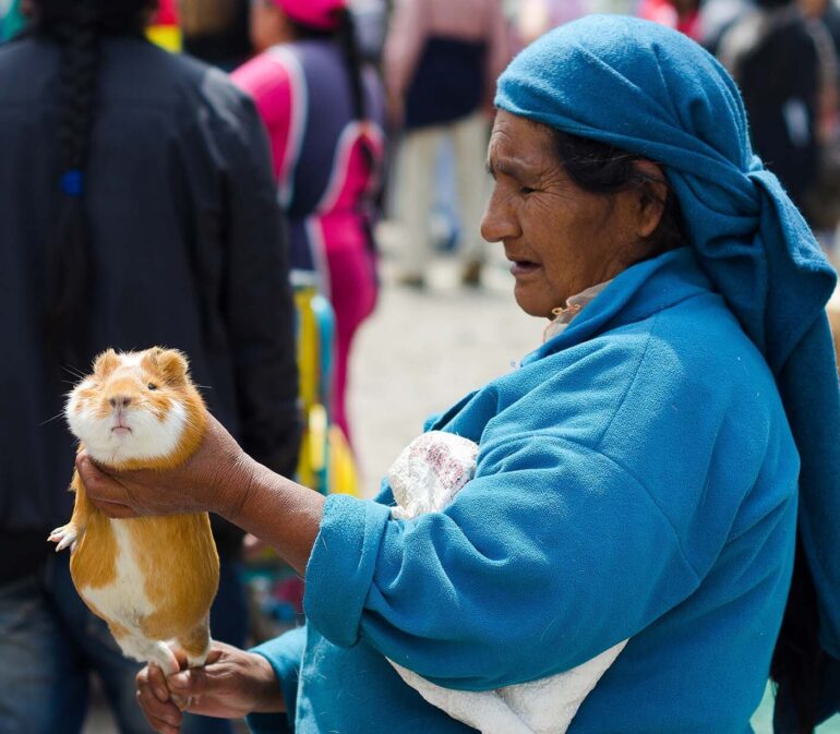Ecuador Reis 871611111